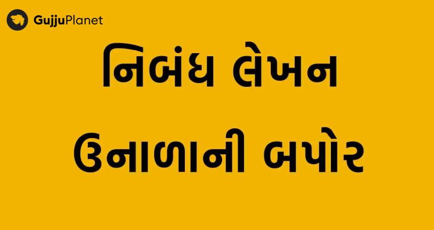ઉનાળાનો બપોર નિબંધ