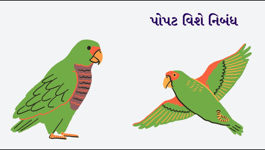 પોપટ વિશે નિબંધ