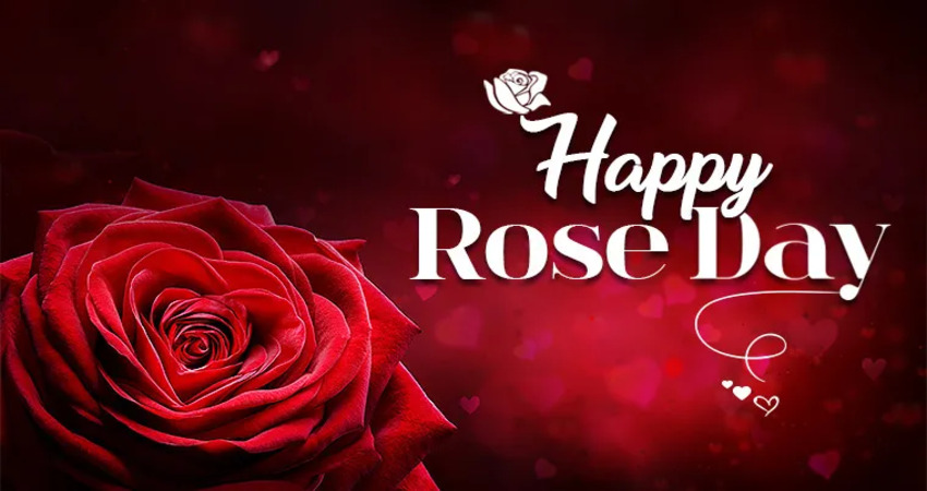 Happy Rose Day 2024 Gujarati