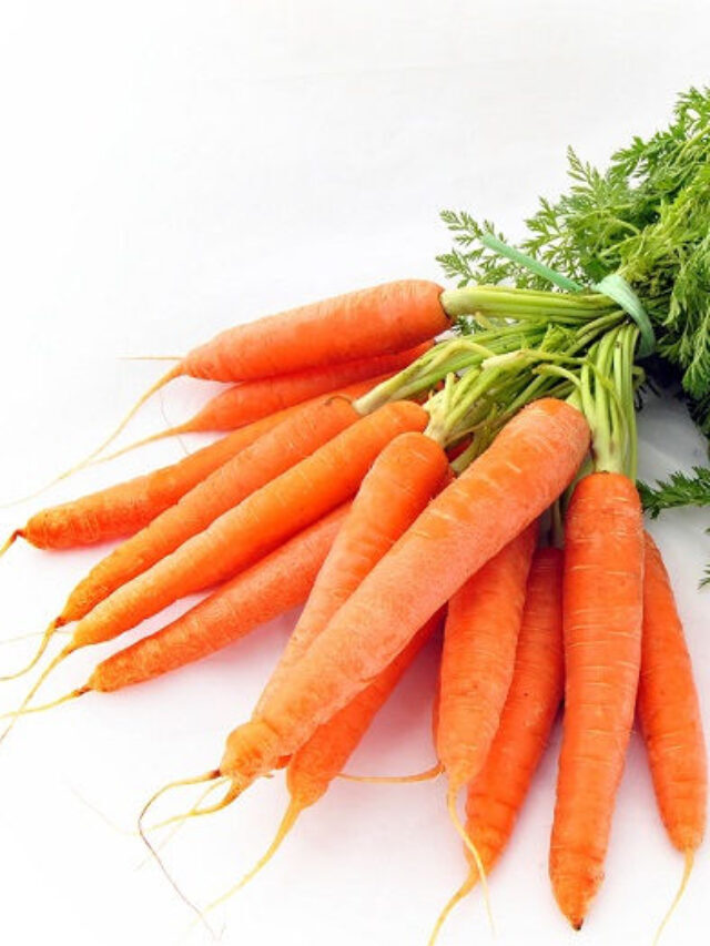 શિયાળામાં રોજ ગાજર ખાઈ લેશો તો મળશે જબરદસ્ત ફાયદા