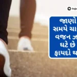 જાણો કયા સમયે ચાલવાથી વજન ઝડપથી ઘટે છે અને ફાયદો થાય છે!