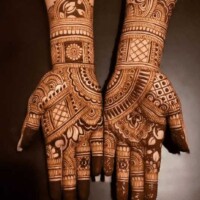 Hand Mehndi designs 62 Mehendi Design 18