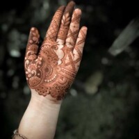 Hand Mehndi designs 73 Mehendi Design 29