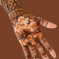 Hand Mehndi designs 74 Mehendi Design 30