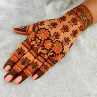 Mehendi Design 51