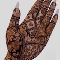Hand Mehndi designs 21 Mehendi Design 79